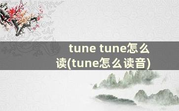 tune tune怎么读(tune怎么读音)